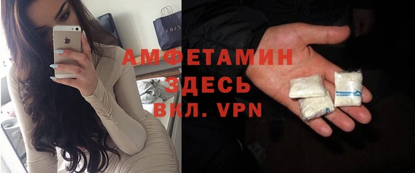 гашик Козловка