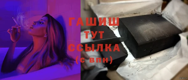 гашик Козловка