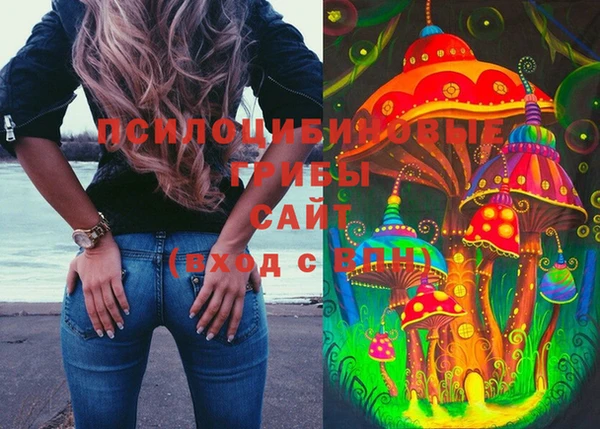 дурь Кинешма