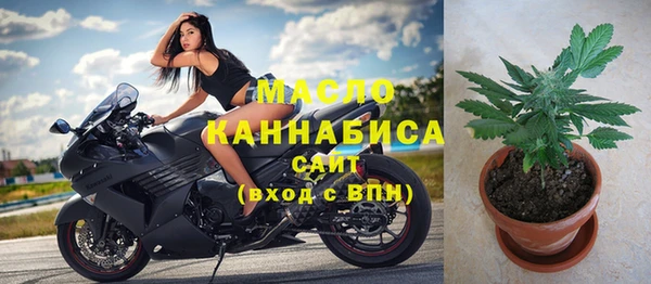 гашик Козловка