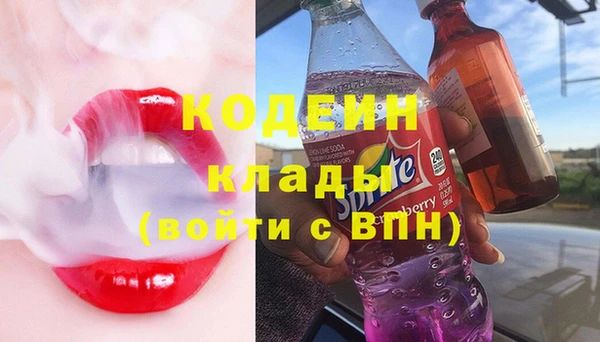 гашик Козловка