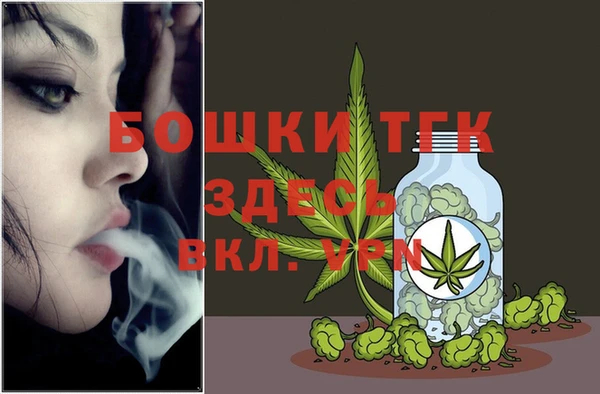 гашик Козловка