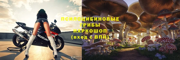 гашик Козловка