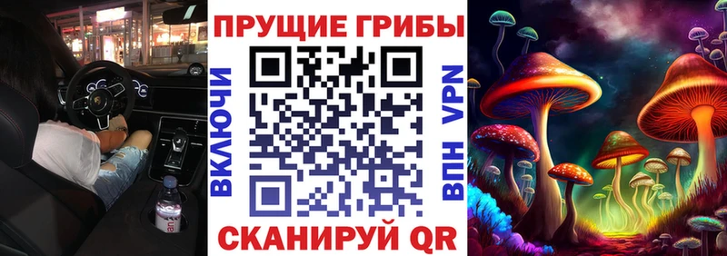 Галлюциногенные грибы Cubensis  Купить где  Грайворон 